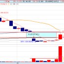 조광코리아 이미지