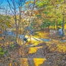 송능1리 마을회관 이미지