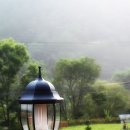 평창베니스 이미지