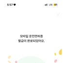 올리브내과올리브 네이버블로그