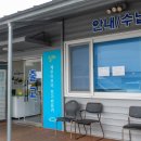 제주이브이전기렌트카