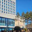 도담동_세종충남대병원앞 | 보호자없이 수술받은 ssul | 세종충남대병원 담낭절제술 후기 2탄