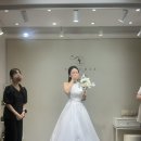 클라우디아 - 중구 장충단로 253 | 강남 클라우디아 촬영 가봉 후기