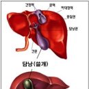 오장육부 티스토리