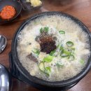 제주도 조천 해장국집 [함덕골목]캐치테이블예약 가능, 솔직후기