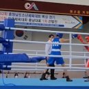 서산시 복싱협회 이미지