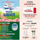 하늘슈퍼 | MODA 슈퍼위크 사은행사 세일 모다아울렛 대구점 쇼핑 후기