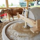 화천민속박물관 이미지