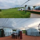 황가농장 이미지