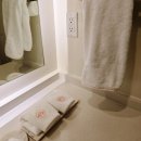 (주)성운파마코피아 | 아루바 가는법, 아루바 리조트 추천 하야트 리젠시 아루바