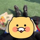플로라벨로 | 서울 남부터미널 예술의전당 꽃 플로라벨로 후기