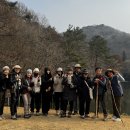 12기 나무아카데미 4강 후기 이미지