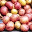 수미테크 이미지