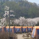 인천대공원 야영장 이미지