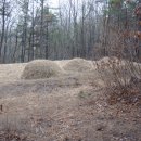 채형농장 이미지