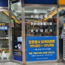 도그마캣대구
