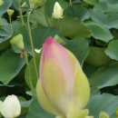 다인 행정사사무소 이미지