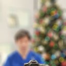 키크사