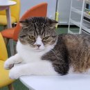 수원-0980 이미지