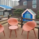 퍼피트랙 이미지