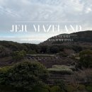 돌미로 | (제주여행) 메이즈랜드 세계 최대 미로 속에서 제주의 돌과 바람을 느끼며 즐기는 찐 힐링 테마파크 🗿