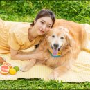 상신리코코네 이미지