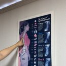 서초대로54길 29-30 | 강남체형교정 척추 밸런스 요법 카이로프랙틱 가격