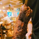 보이브라질 이미지