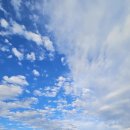 청혈센터한의원 이미지