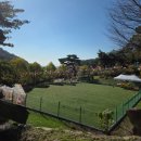 경기도 양평군 사랑나무어린이집 | 양평쉬자파크 가족여행 자연휴양림 숙박시설 초가원