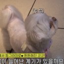 디오ENG 이미지