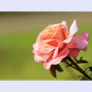 곡성-013 이미지