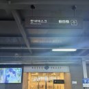 서울 근교 가성비 골프장 아세코밸리cc 야간8만원 그린상태 라운딩후기⛳️ 아세코gc