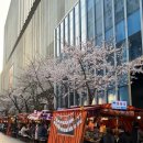 세븐일레븐 부산가야점 | 부산 서면 벚꽃포차 추천 주말 저녁 방문 후기🌸