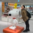 U-정보센터 | 나고야 쇼핑 리스트 명품 포켓몬센터 파르코 백화점 할인 꿀팁