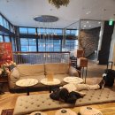 2023-0005 | 요코하마 가족 숙소 추천｜더 낫 호텔 대가족 숙박에 좋은 가성비 숙소 침대 4개 객실 실제 이용기