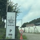 카페데이캠 고양점 | 고양 캠크닉 당일캠핑 가능한 데이캠파크 고양점 찐 후기 !