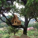 쌍용가든 이미지