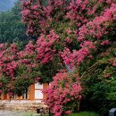 소태역 대합실 이미지