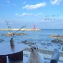 충무수산동물병원 | 바다빛무지개펜션 / 남애3리해수욕장 / 주문진수산시장 / 비빔상회 / 발왕산 케이블카 / 파인리프카페