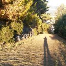 아라공원 이미지