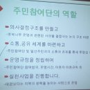 행복나무 이미지