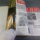 마유미