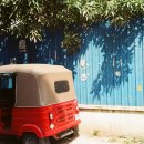 11단지비디오 이미지