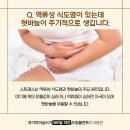 예도치과병원 네이버블로그