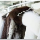 은성세탁소 이미지