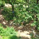 남동족구장 화장실 이미지