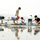 유동어촌체험마을 이미지