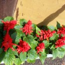 아랑농장 이미지