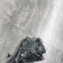 오토라운지 이미지